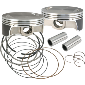 Piston, Set, 4-1/8", Standard, FD, .927" WP, Revised,HSF, 19